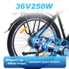 TTGO M300 27.5" E-BIKE 36V20AH Akku Reichweite bis zu 120 Produktbild-Vorschau 9