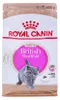 ROYAL CANIN British Shorthair Kitten - trockenfutter für Produktbild-Vorschau 12