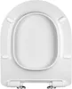Ramm Toilettensitz kompatibel mit Lavita Galve, WC Sitz aus Produktbild-Vorschau 14