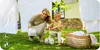 MoMi DEX balance bike bicicletta per bambini - triciclo Anteprima dell’immagine prodotto 9