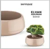 Sierpotten Elvan Arrangement M en color rosa: Juego de 2 Vista previa de la imagen del producto 3