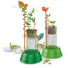 Clementoni Clementoni Galileo Botanica e Idroponica 59065 Anteprima dell’immagine prodotto 4