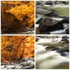 Bilder auf glas - Stream Herbst Forrest Berg - 70x70cm - Produktbild-Vorschau 8