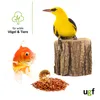 UGF Premium Gammarus – Getrocknete Bachflohkrebse 300g (3L) Produktbild-Vorschau 5