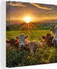 MuchoWow® - Leinwandbilder - Sonne - Kuh - Gras, Wandbild, Produktbild-Vorschau 1