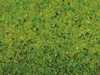 NOCH 200 x 100 cm Grasmatte Blumenwiese als bunte Produktbild-Vorschau 6