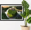 Moosbild mit Echtem Isländisch Moos - 60x40 cm - Schwarzer Produktbild-Vorschau 1
