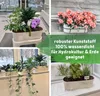 Leni Flori Jardiniere Blumentopf länglich 36 cm lemon / Produktbild-Vorschau 5