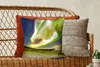 MuchoWow® Zierkissen Sofakissen Wohnzimmer Dekokissen 45x45 Produktbild-Vorschau 5