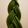 Bloomique - Sansevieria Twister - Język teściowej - Roślina Podgląd zdjęcia produktu 3