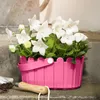 EMSA LANDHAUS KÖRBCHEN Blumenkübel 28x18 cm, weiß, 513924 Produktbild-Vorschau 6
