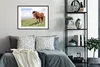 MuchoWow® Gerahmtes Poster Pferd - Licht - Schatten 80x60 Produktbild-Vorschau 2