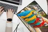 MuchoWow® Laptop Hülle 17 Zoll Laptoptasche Vögel - Papagei Produktbild-Vorschau 2