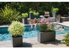EDA 013728 G.ANT SX EDA Plantenpot VOLCANIA, vierkant, 495 Productafbeelding-voorbeeld 31