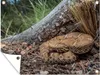 MuchoWow® Produktbild-Vorschau 1
