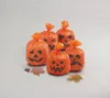 Dekorácie z tekvíc - tekvica - HALLOWEEN - 20 ks Náhľad obrázku produktu 3