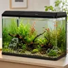 Kruger Meier LAORIA Panoramic 600 - Aquarium 60l mit Produktbild-Vorschau 2