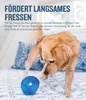 Planet Dog Orbee Tuff Lil Snoop royalblau Produktbild-Vorschau 5