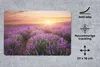 MuchoWow® Mauspad Mousepad Lavendel - Sonne - Blumen 27x18 Produktbild-Vorschau 2