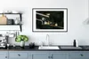 MuchoWow® MuchoWow® Gerahmtes Poster Vogel - Zweig - Wasser Produktbild-Vorschau 4