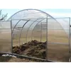 Gewächshaus Tunnel PROFI ZEUS 4x6 m | Treibhaus mit 6 mm Produktbild-Vorschau 2