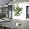 ML-Design umelý olivovník 210 cm, umelá rastlina s kmeňom z Náhľad obrázku produktu 9