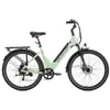 Elektrische stadsfiets en elektrische Hollandfiets, 28 Productafbeelding-voorbeeld 3