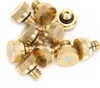 10 pezzi 0,2 mm acqua di rubinetto ugello nebulizzatore a Anteprima dell’immagine prodotto 1