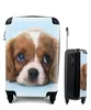 MuchoWow® Koffer Handgepäck Trolley Rollkoffer Kleine Produktbild-Vorschau 1