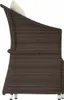 2-tlg. Garten-Lounge-Set mit Kissen Braun Poly Rattan Produktbild-Vorschau 6