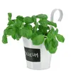 A potted basil plant with a white hanging pot. Náhľad obrázku produktu