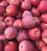 Apfelbaum ´JONAPRINCE®´ Unterlage M26, wurzelnackt Produktbild-Vorschau 2