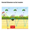 BARENBRUG HAPPY LAWN 0,5 kg : UNE NOUVELLE QUALITÉ SUR LE Voir les images du produit 7