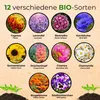 Seedhero  Essbare Blüten Blumensamen-Set mit 10 Sorten Produktbild-Vorschau 2