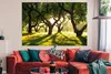 MuchoWow® Poster Bäume - Natur - Sonne 180x120 cm - Produktbild-Vorschau 2