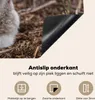 KitchenYeah© Herdabdeckplatte Bild eines neugeborenen Lamms Produktbild-Vorschau 4