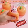 6 Stück Hasen Stressball Squishy Quetschspielzeug Anti Produktbild-Vorschau 3