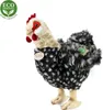 Gallina Peluche Con Uovo 33 Cm Ecologico Anteprima dell’immagine prodotto 5
