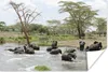MuchoWow® Poster Afrikanische Elefanten im Wasser 180x120 Produktbild-Vorschau 1