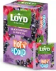 Loyd Hot’N Cold - Porzeczka i Hibiskus - Ekspresowa Herbata Podgląd zdjęcia produktu 1