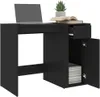 A black desk with a laptop, books, and a plant on top. The desk has a drawer and a cabinet with a door. Náhled obrázku produktu