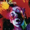 Alice In Chains - Facelift (2 LP) Podgląd zdjęcia produktu 2