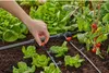 Gardena Giunto a T Connettore a snodo Anteprima dell’immagine prodotto 5