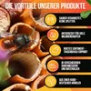 BEESI Lehmpulver für Wildbienen I Baumaterial, Füllmaterial Produktbild-Vorschau 11