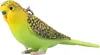 Mojo Farm Pets Prívesok na kľúče Budgerigar Green - 387460 Náhľad obrázku produktu 8