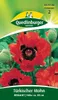 Quedlinburger Saatgut - Türkischer Mohn Brilliant - Samen - Produktbild-Vorschau 3