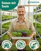 ZenGreens® Bio Kresse Keimsaat 200 g – Sprossensamen für Produktbild-Vorschau 2