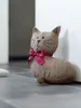 Trendpet Tierische Türstopper, Katze Kira, dekorative Produktbild-Vorschau 3