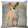 Outdoor Kissen Hundemotiv Gartenkissen Hund Welpe Produktbild-Vorschau 1