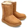Ugg Classic II Boots Kids Chestnut - Kids - 1017703K-CHE Produktbild-Vorschau 11